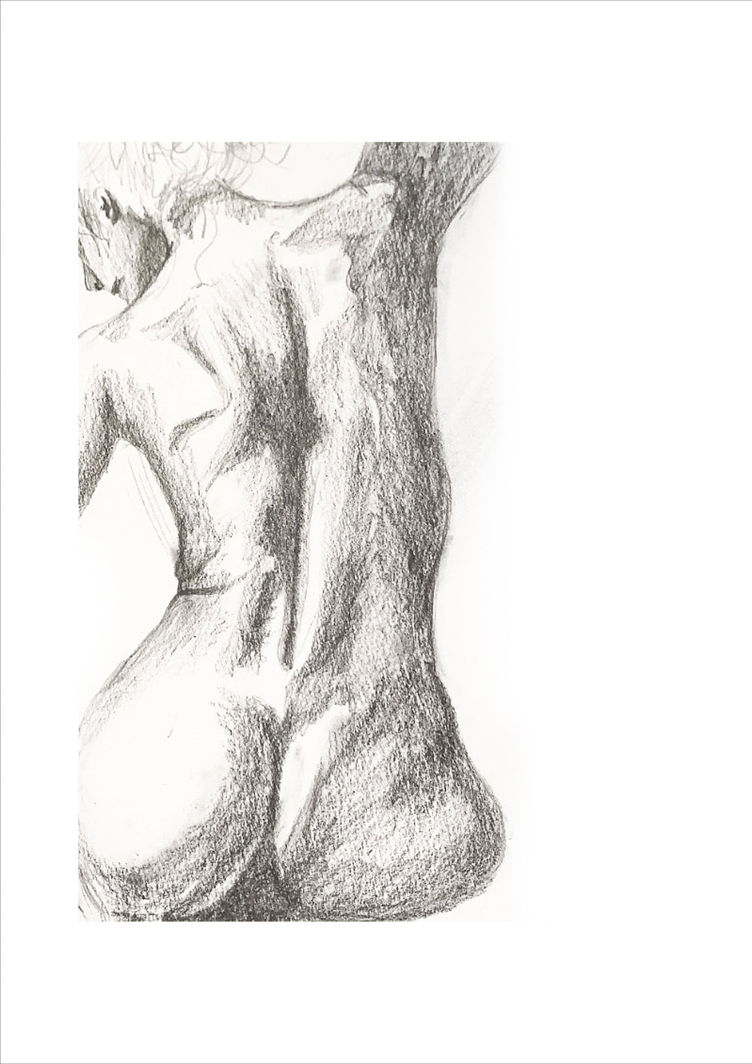 Original Sketch Art