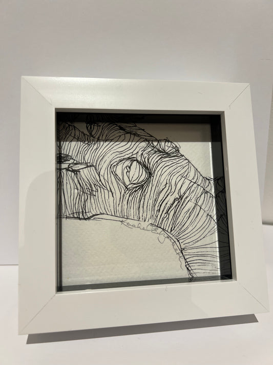 Contours